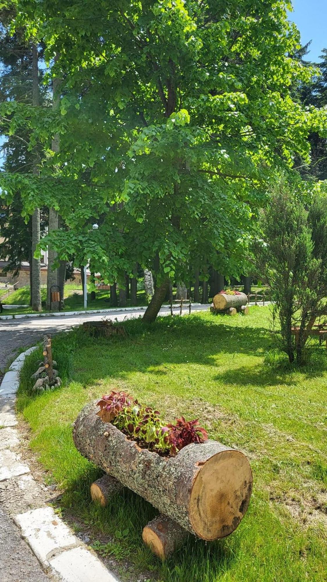 Pm Services Borovets Garden Apartments Экстерьер фото