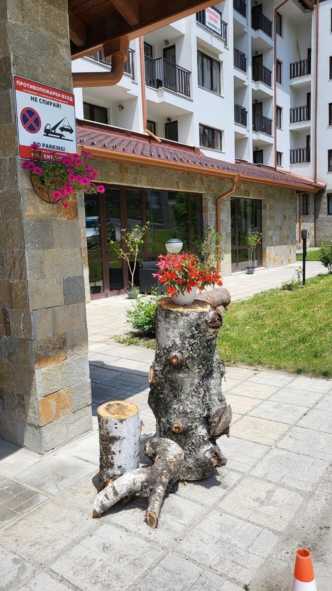 Pm Services Borovets Garden Apartments Экстерьер фото